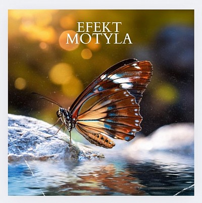 Efekt motyla